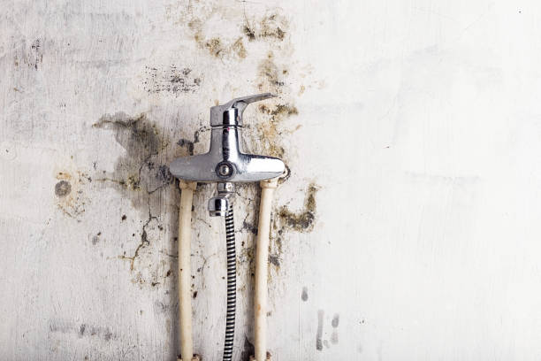 Best Water Damage Restoration  in Amherst, WI