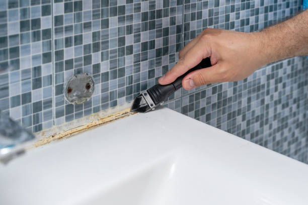 Best Mold Damage Repair  in Amherst, WI