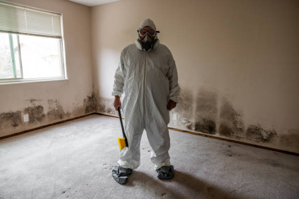 Best Emergency Mold Removal  in Amherst, WI